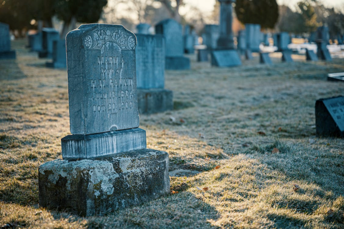 Estado dos Mortos